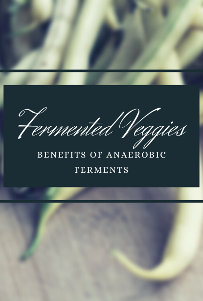 Anaerobic Ferments (for more than just beating COVID!)